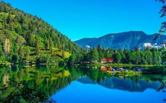 آرتفين photo