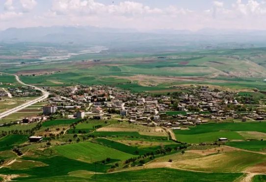 الرجل الوطواط photo