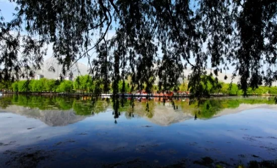 كهرمان مرعش photo