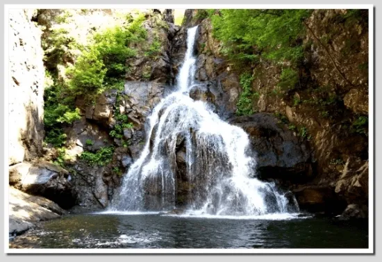يالوفا photo